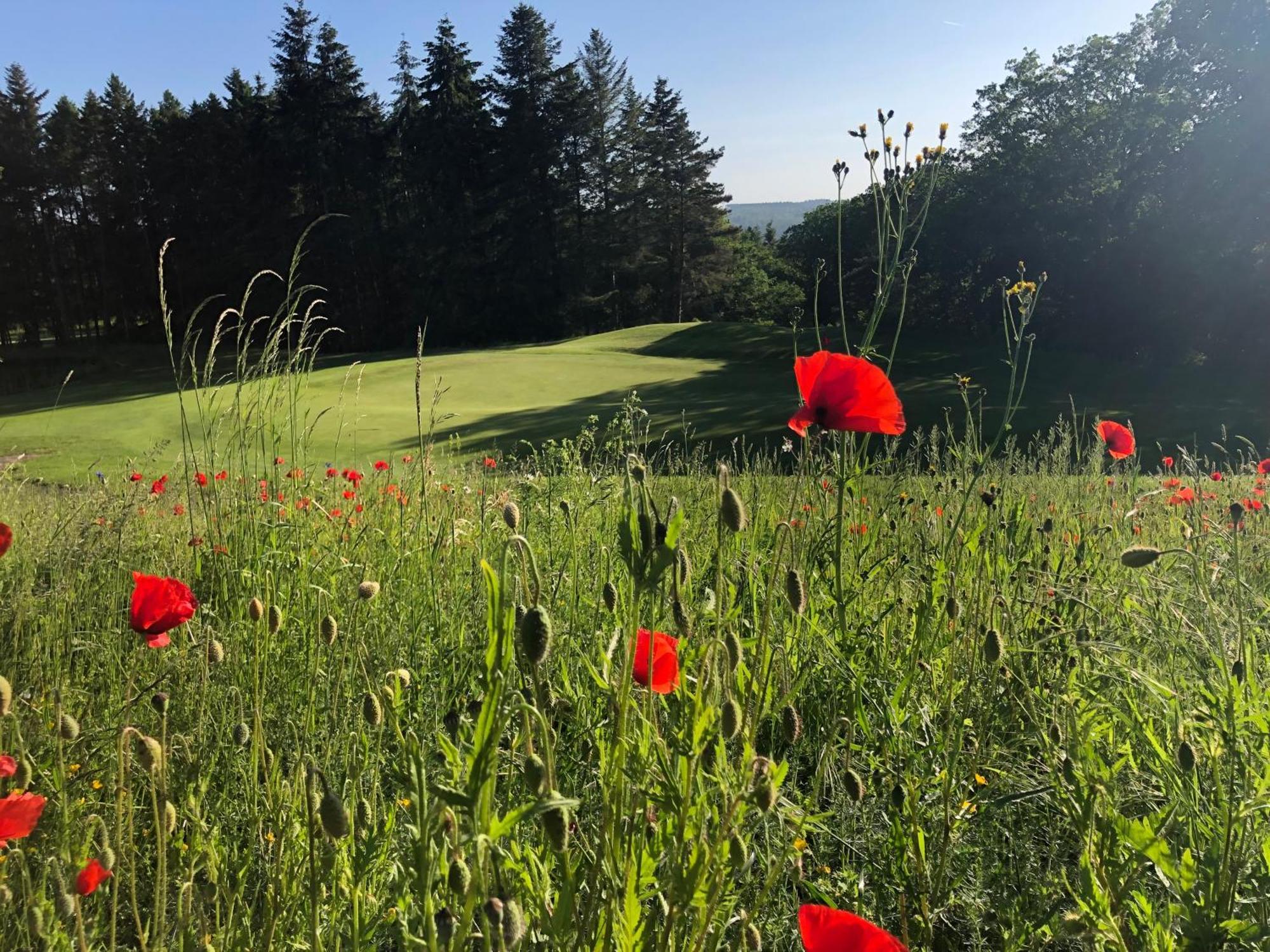 Gaestehaus Koehler Waldsolms Esterno foto