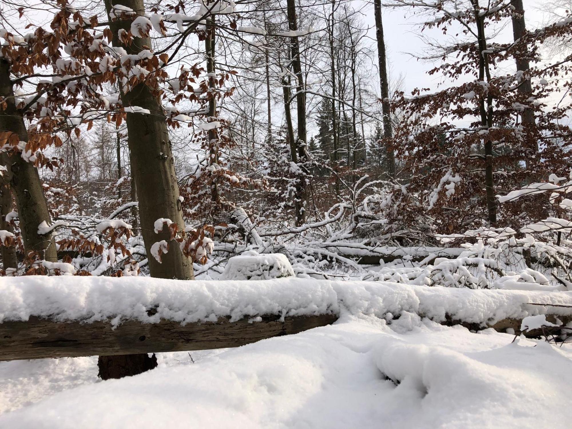 Gaestehaus Koehler Waldsolms Esterno foto