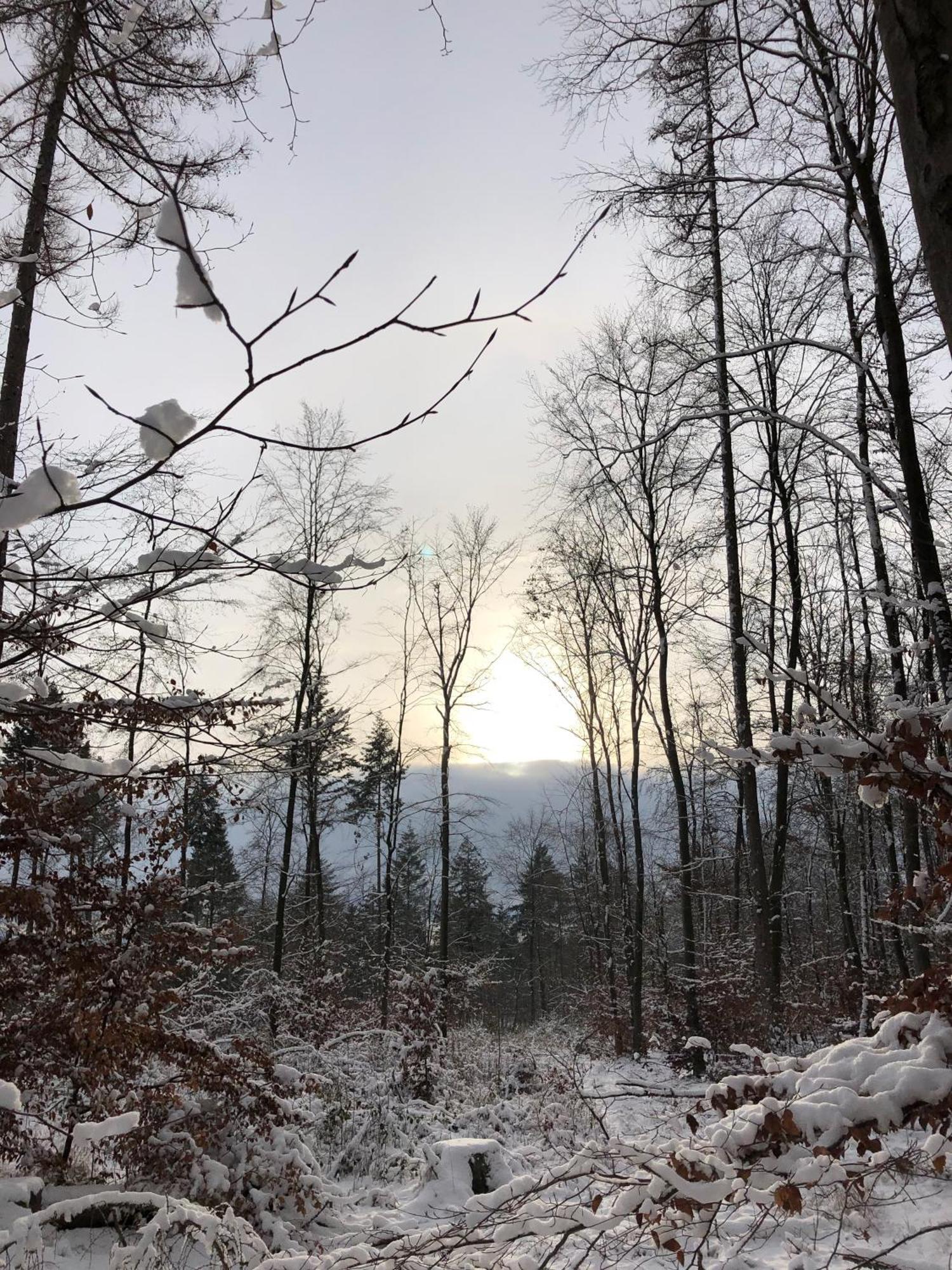Gaestehaus Koehler Waldsolms Esterno foto