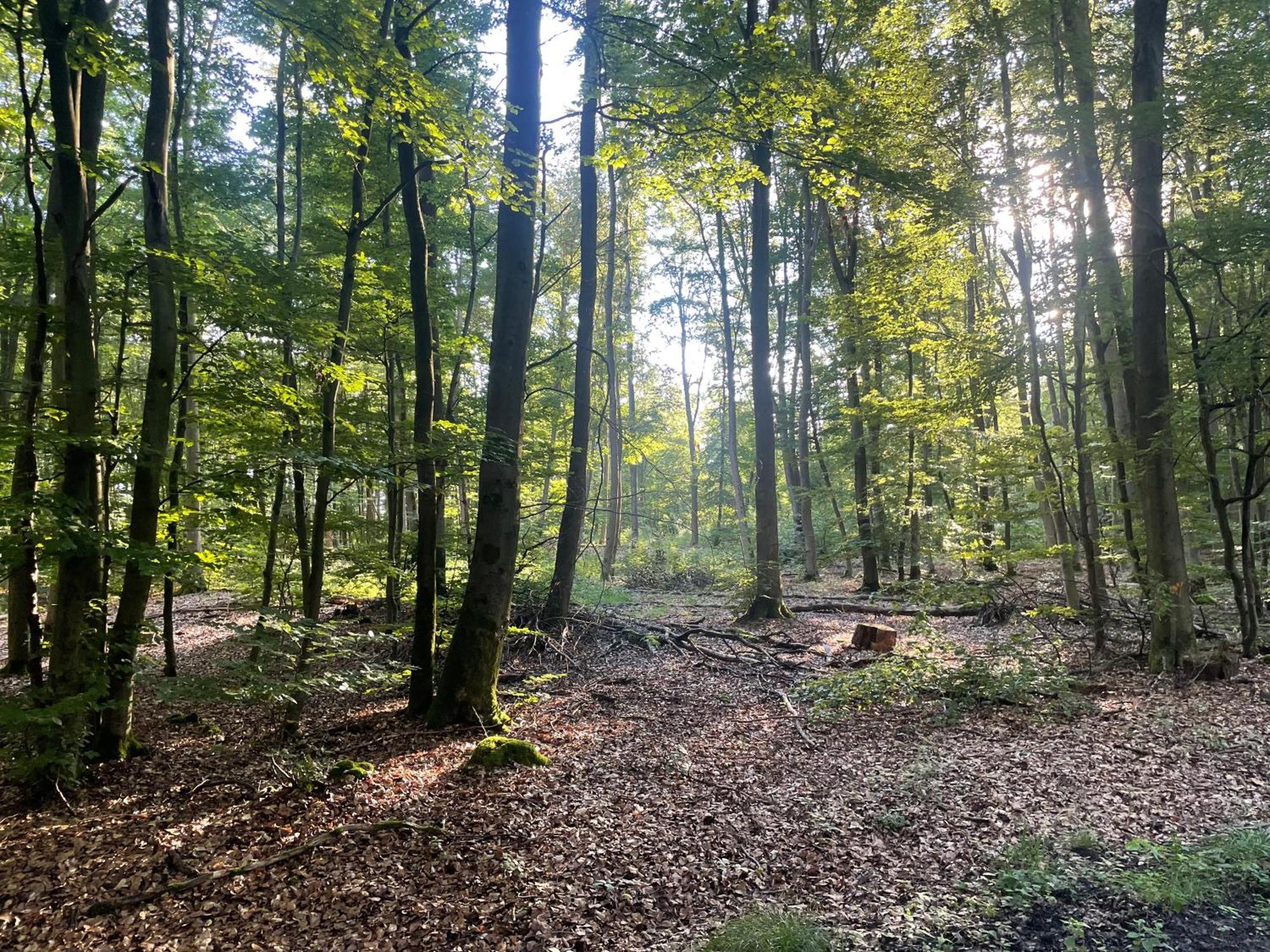 Gaestehaus Koehler Waldsolms Esterno foto