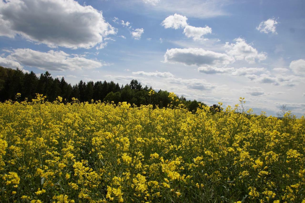Gaestehaus Koehler Waldsolms Esterno foto